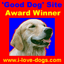 i love dogs.com  Comprehensive directory about everything dog.  Find canine clubs, education and shopping