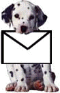Isn't this Dalmatian Puppy Cute?  He is waiting for your email message to be sent.